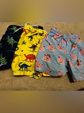 2T boys swim suit bundle